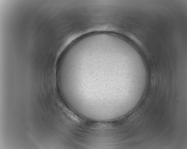 X0000078021270200611171903