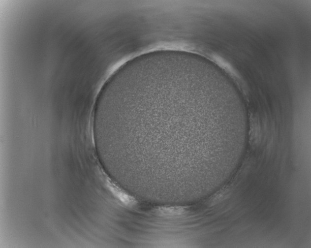 X0000078021272200611171903