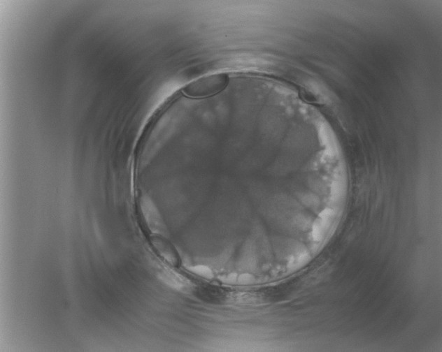 X0000078021275200611171903