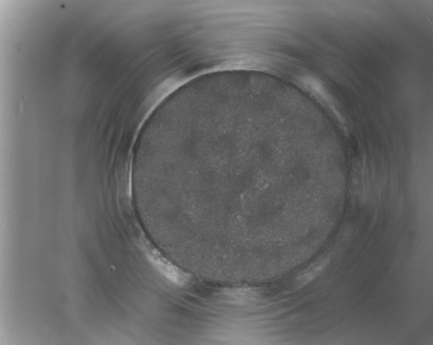 X0000078021276200611171903