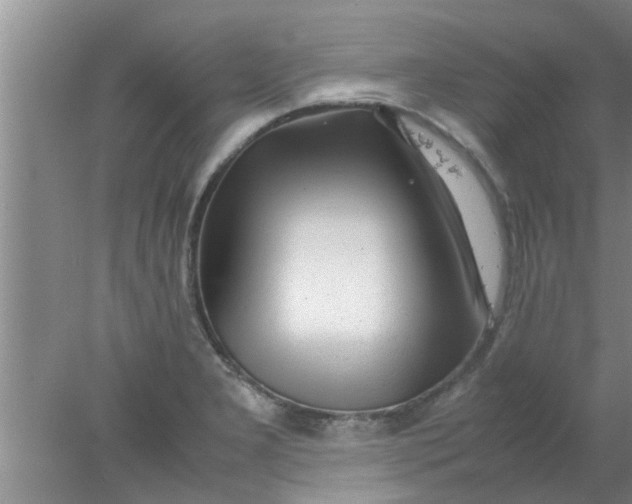 X0000078021277200611171903