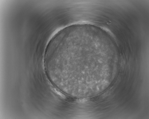 X0000078021278200611171903