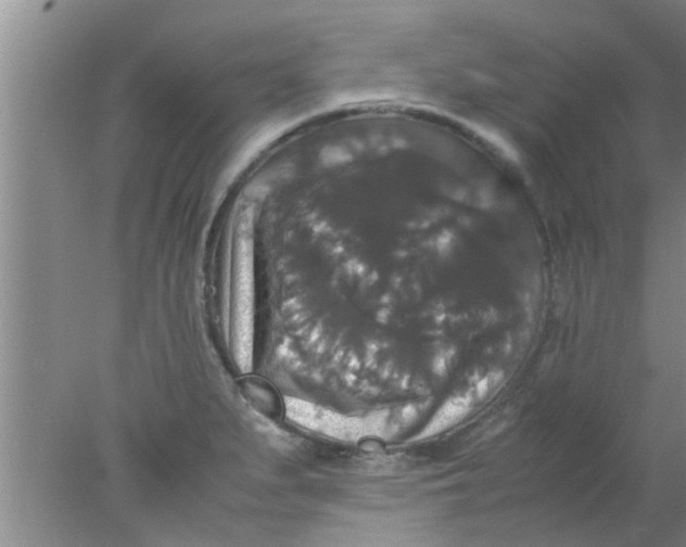 X0000078021279200611171903