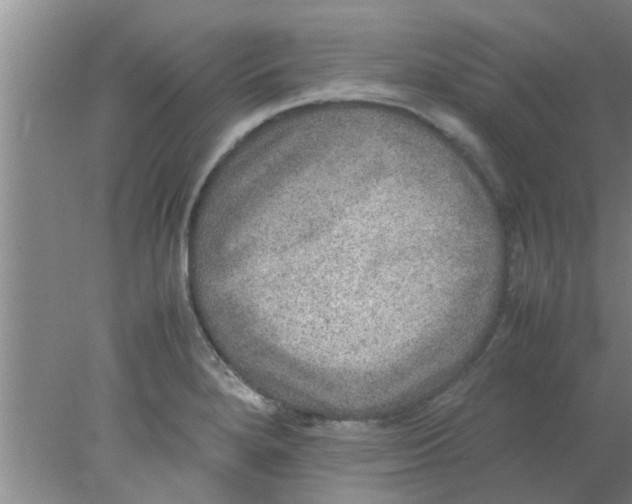 X0000078021280200611171903