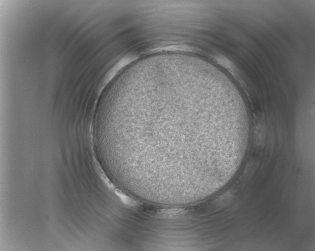 X0000078021282200611171903