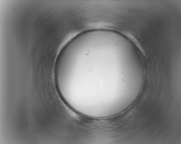 X0000078021285200611171903