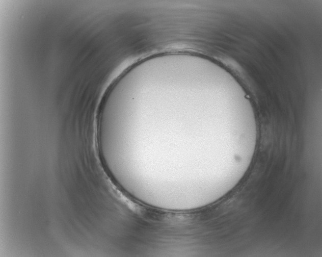 X0000078021286200611171903