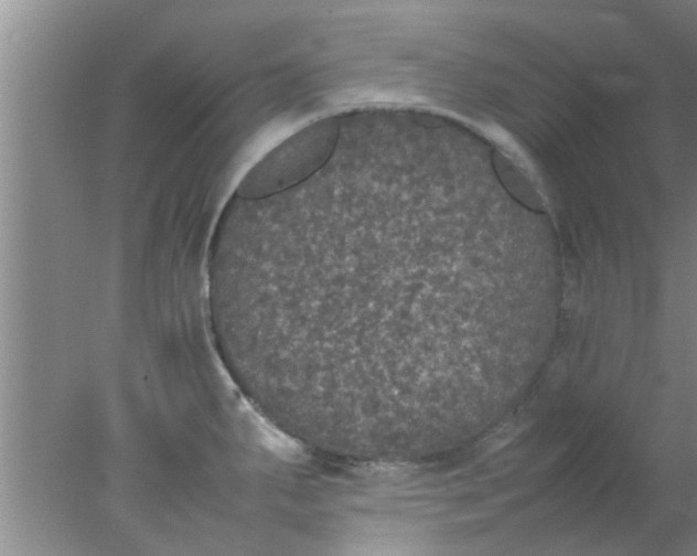 X0000078021287200611171903