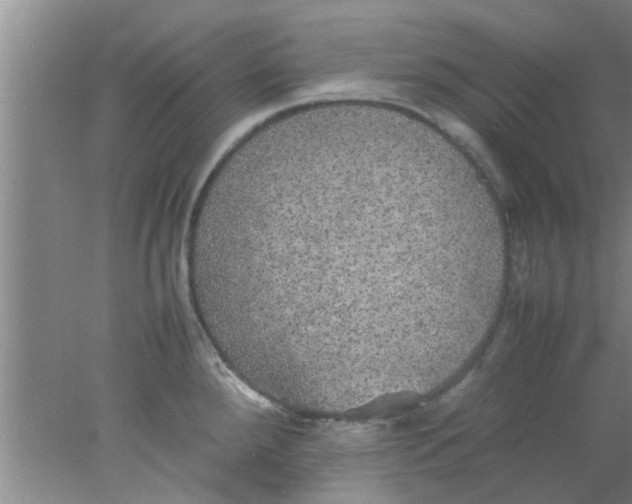 X0000078021288200611171903