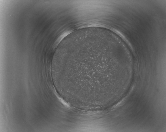 X0000078021289200611171903