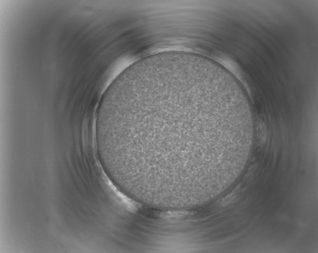 X0000078021290200611171903