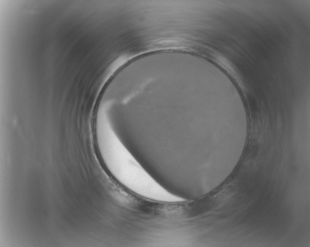 X0000078021291200611171903