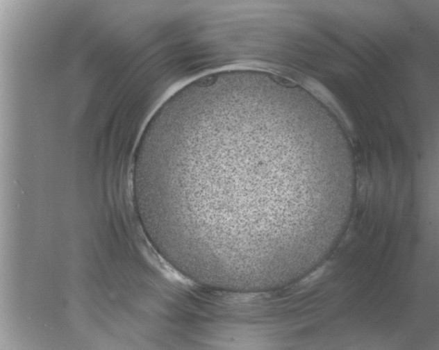 X0000078021292200611171903