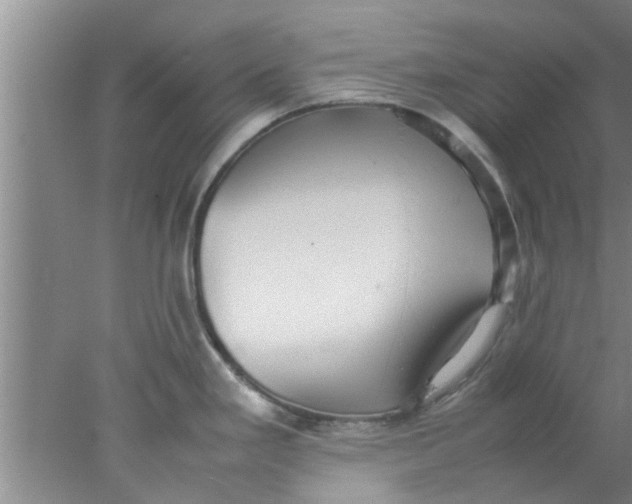 X0000078021293200611171903