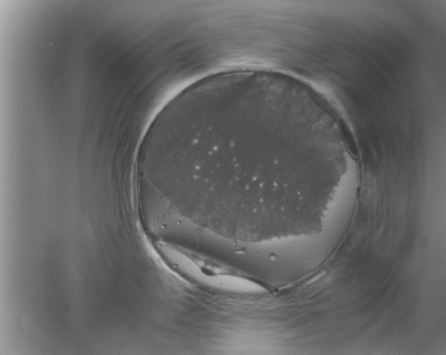 X0000078021295200611171903