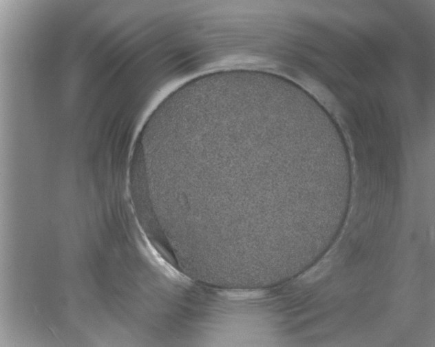 X0000078021296200611171903