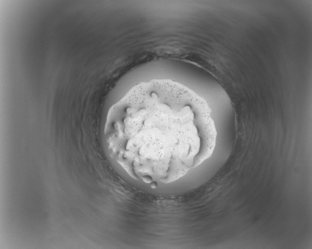 X0000078021297200611171902