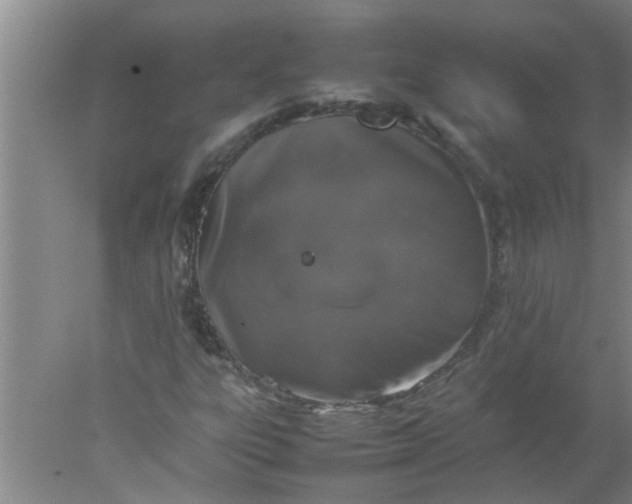 X0000078021303200611171902