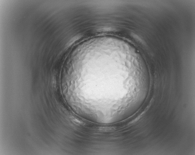 X0000078021305200611171902