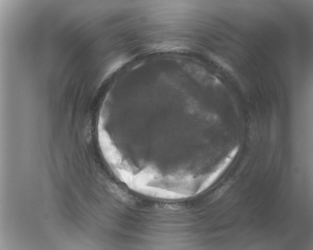 X0000078021306200611171902