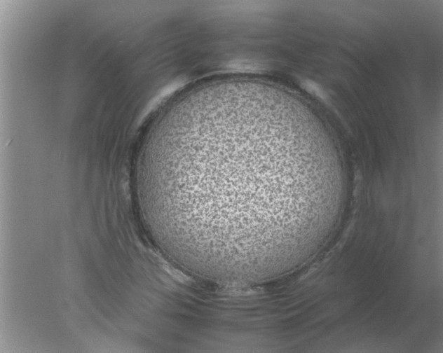 X0000078021307200611171902