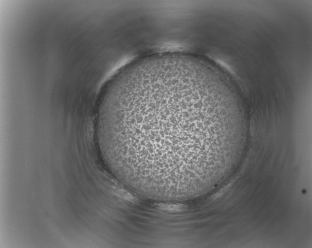 X0000078021309200611171902