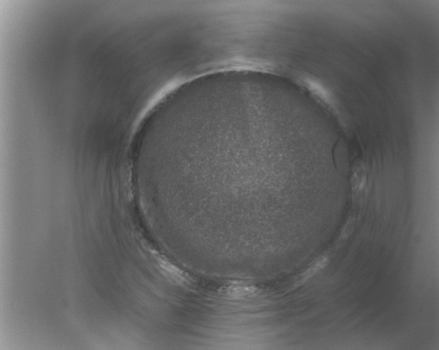 X0000078021310200611171902