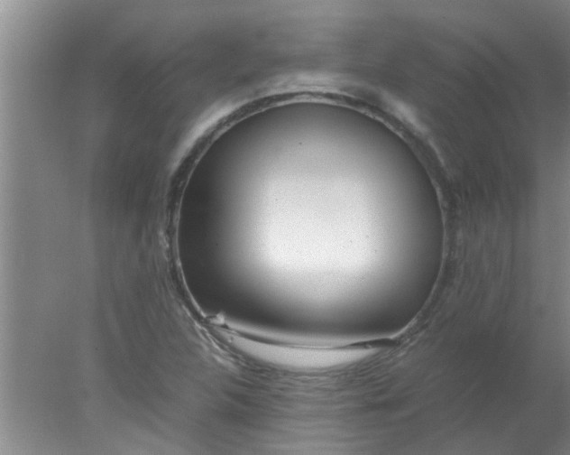 X0000078021312200611171902