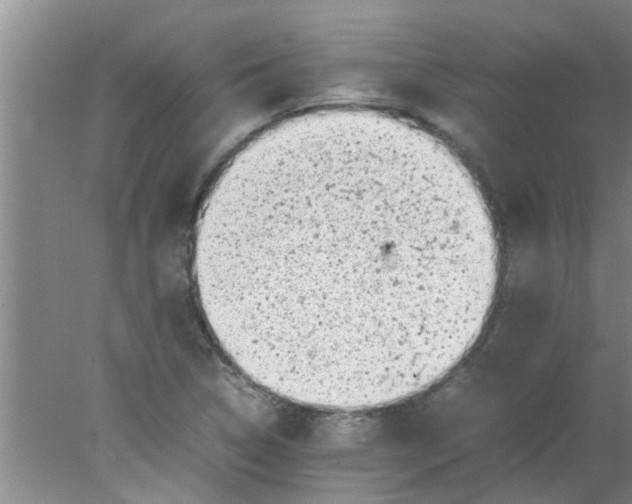 X0000078021314200611171902