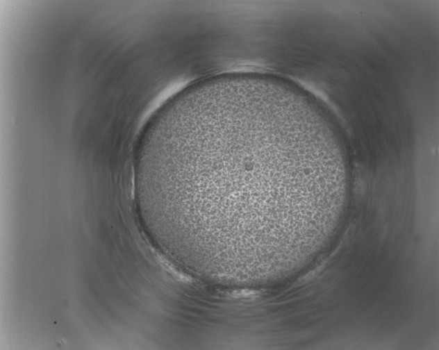 X0000078021317200611171902