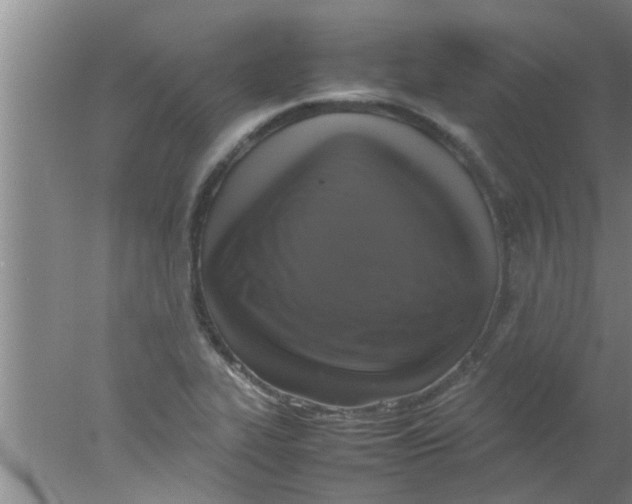 X0000078021319200611171902