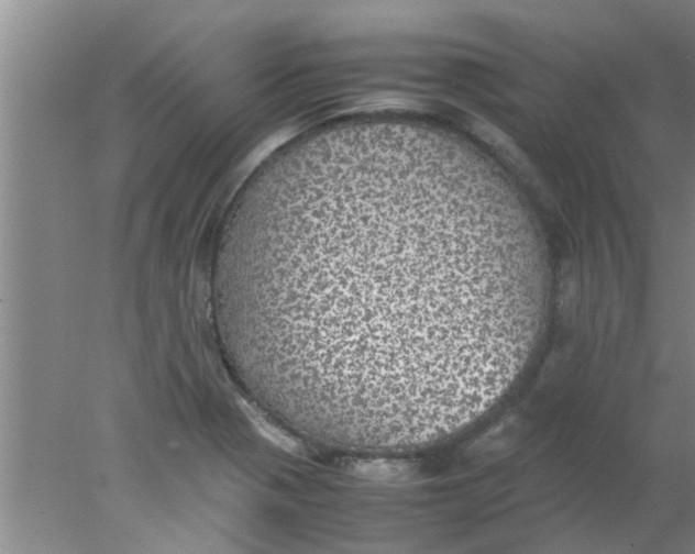 X0000078021321200611171903