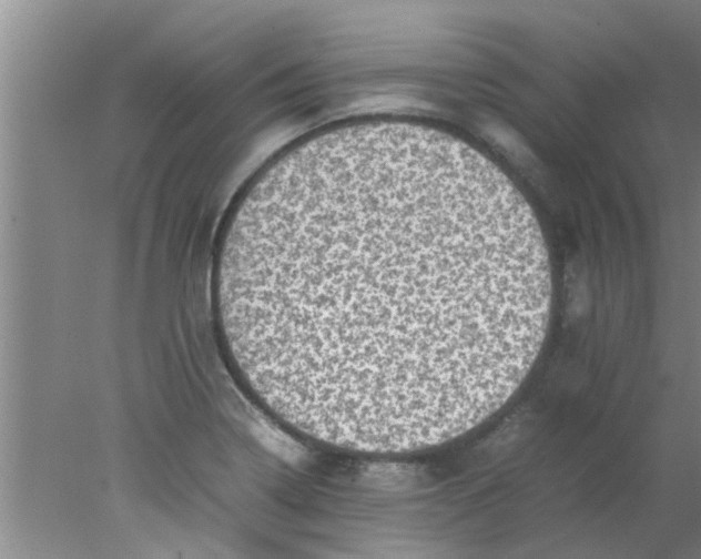 X0000078021322200611171903