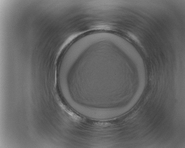 X0000078021323200611171903