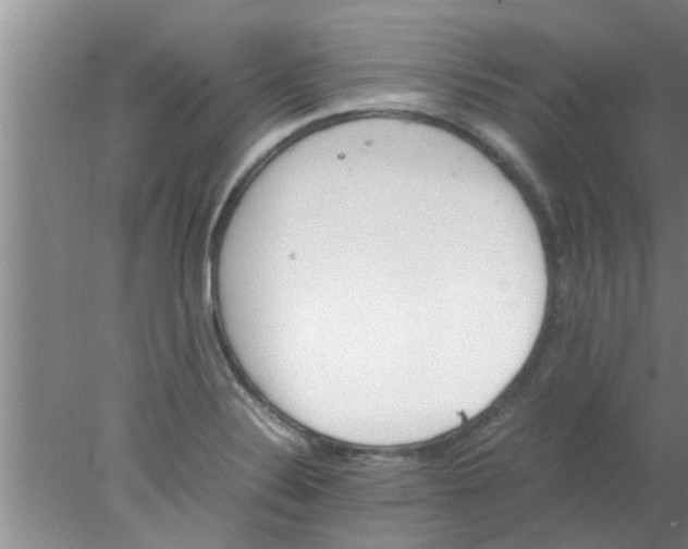 X0000078021324200611171903