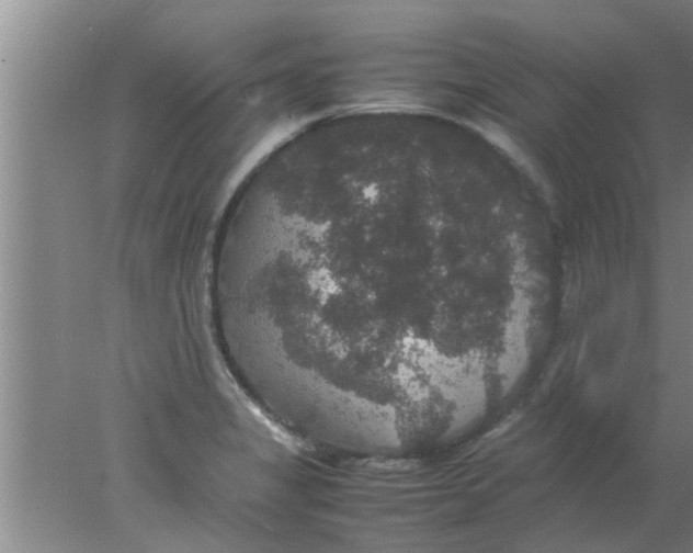 X0000078021325200611171903