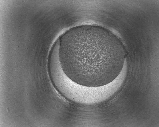 X0000078021326200611171903