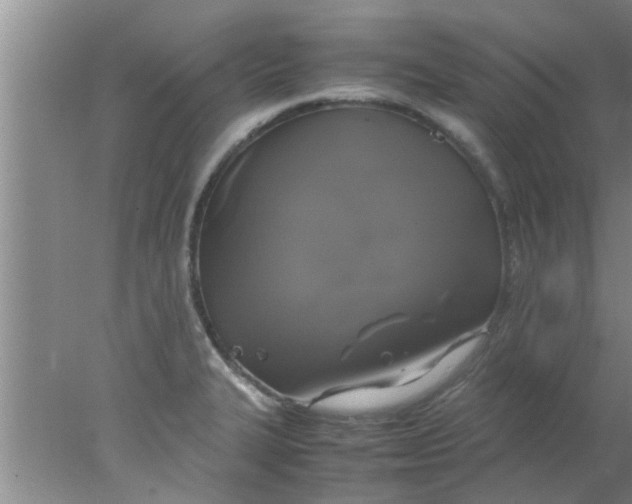 X0000078021327200611171903