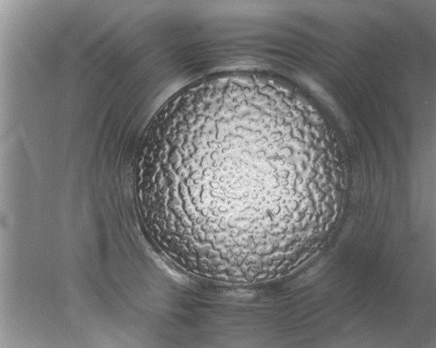 X0000078021329200611171903