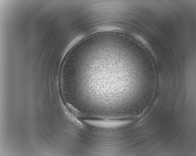 X0000078021330200611171903