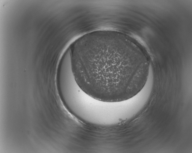 X0000078021331200611171903