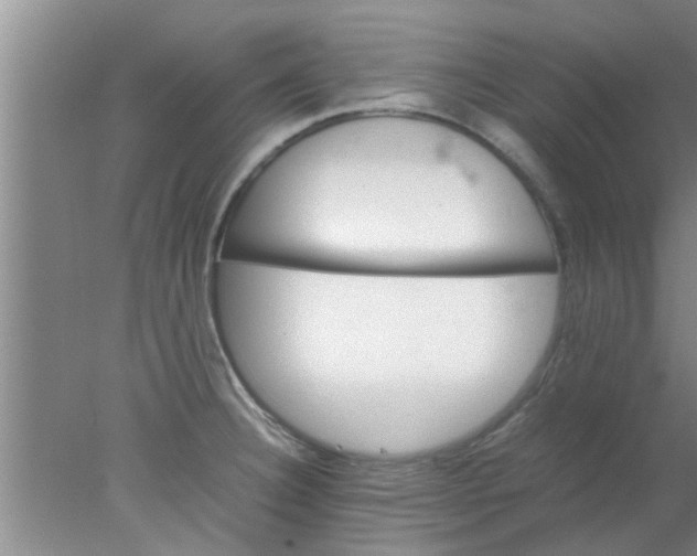 X0000078021332200611171903