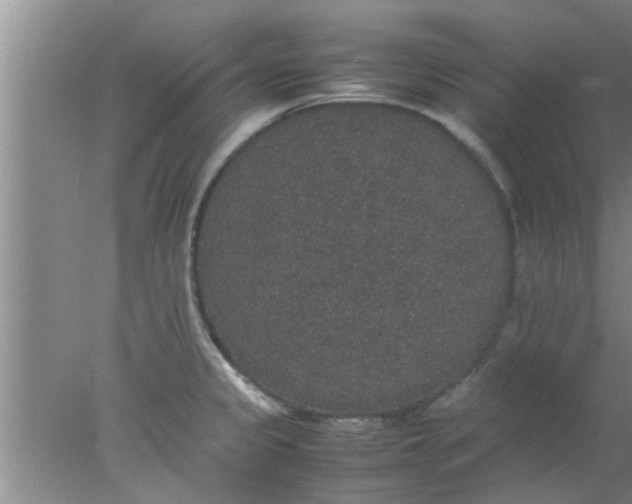 X0000078021333200611171903