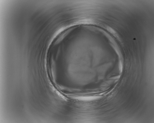 X0000078021334200611171903