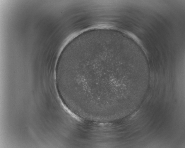 X0000078021335200611171903