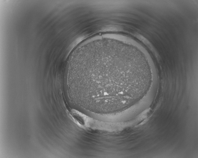 X0000078021337200611171903