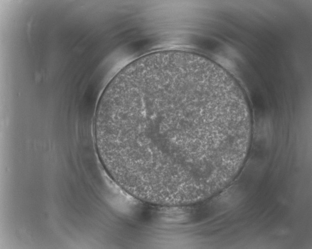 X0000078021338200611171903