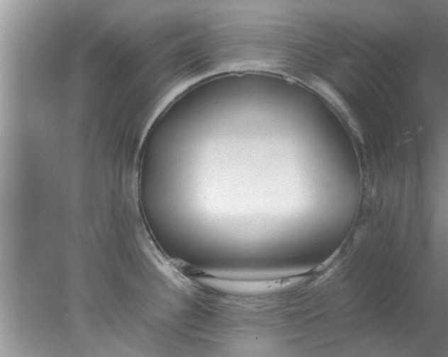 X0000078021340200611171903