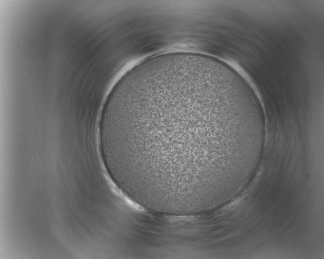 X0000078021341200611171903