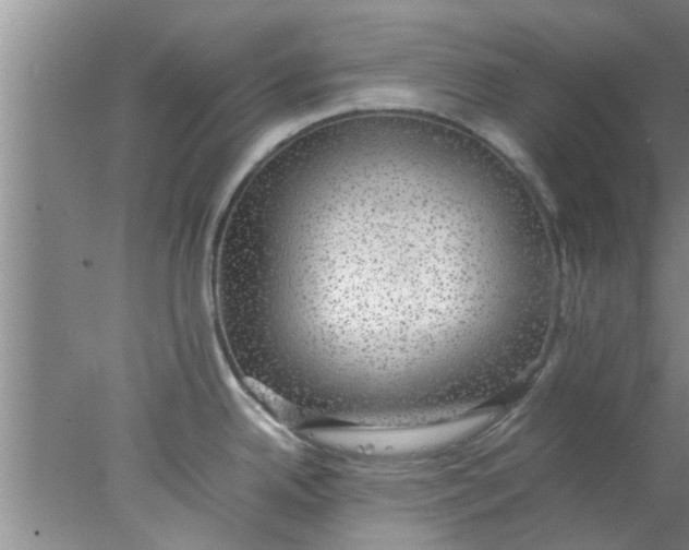 X0000078021342200611171903